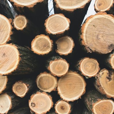 la madera