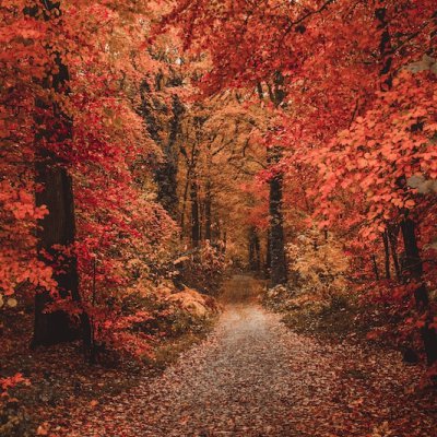 el otoño