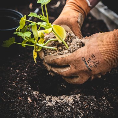 gardening