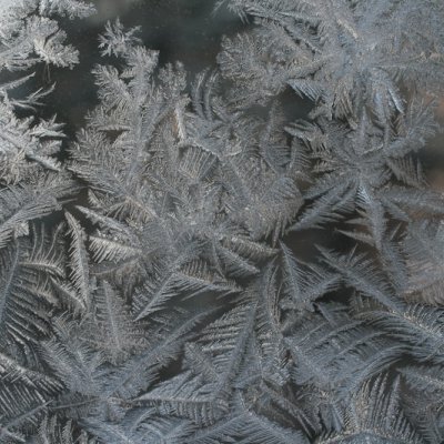 frost