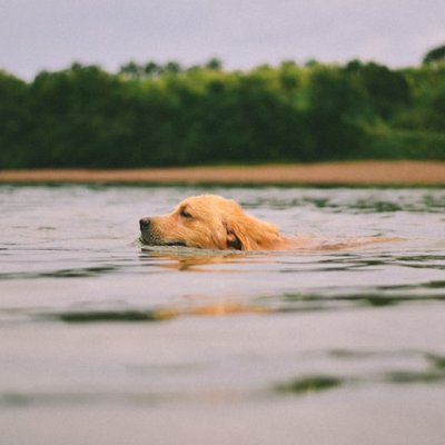 to cool off