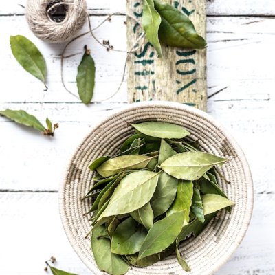 la hoja de laurel