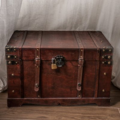 trunk