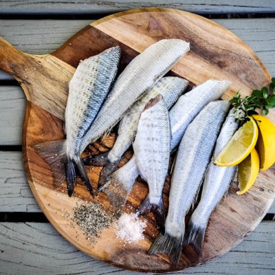 fish