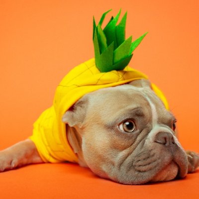 costume