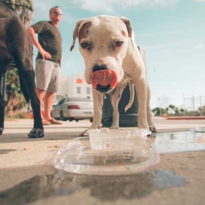 thirsty