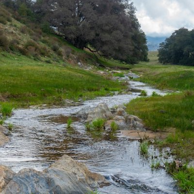 el arroyo