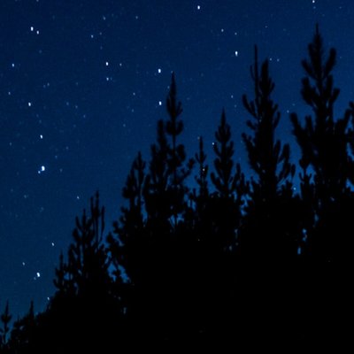 the night before last