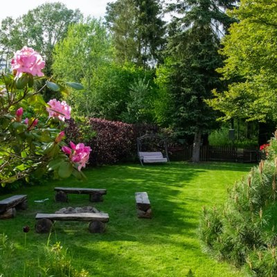 el jardín trasero