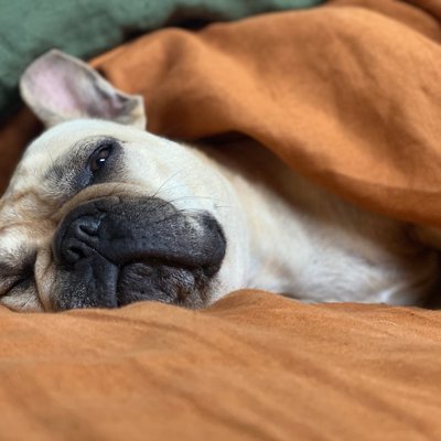 lazy