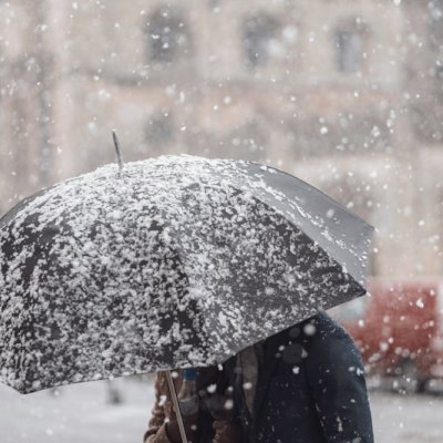 VERANO TRANSLATION IN ENGLISH visual data 6