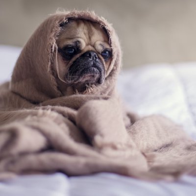 sensitive to the cold