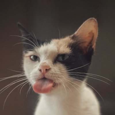 tongue
