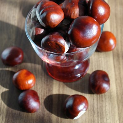 chestnut