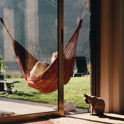 hammock