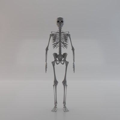skeleton