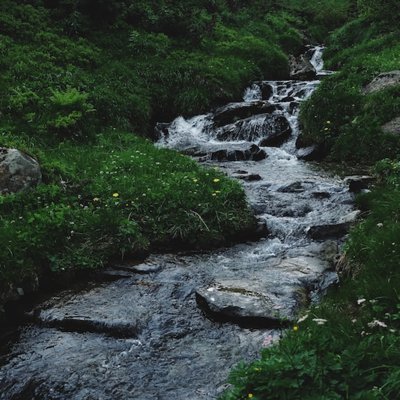 el arroyo