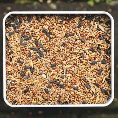 birdseed