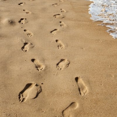 footprint
