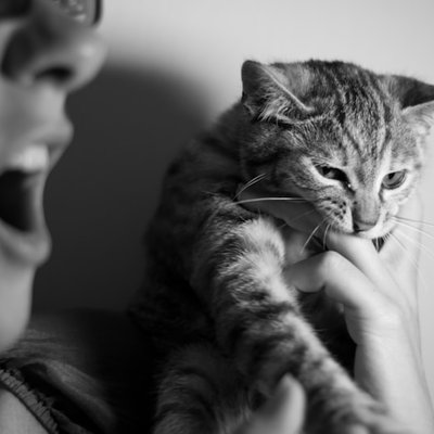 to bite