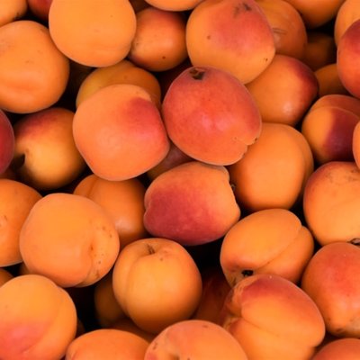 apricot