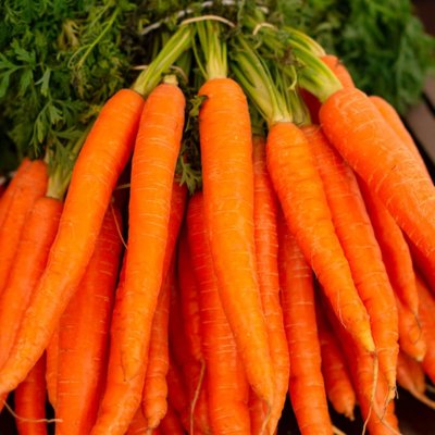 carrot