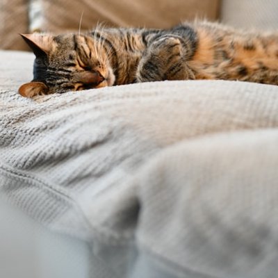 descansar
