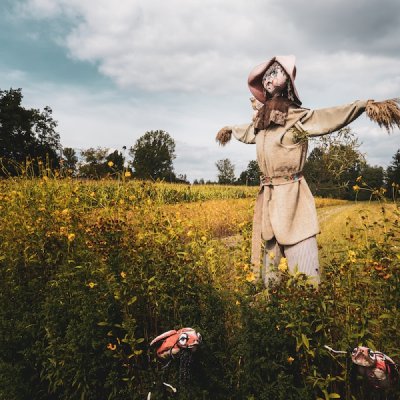 scarecrow