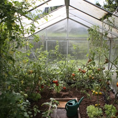 greenhouse
