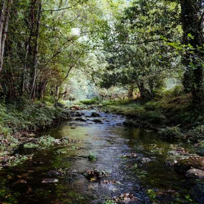 el arroyo