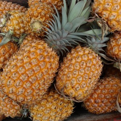 pineapple