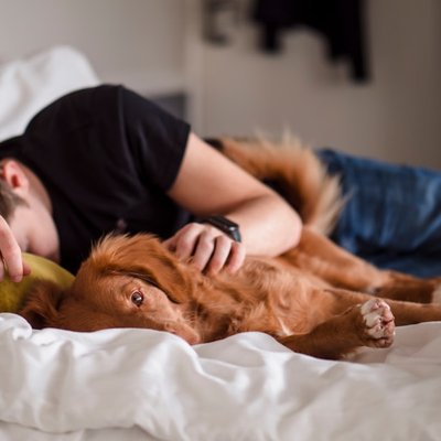 nap