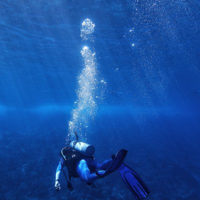 to scuba dive