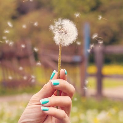 allergy
