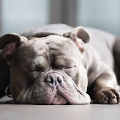 to snore
