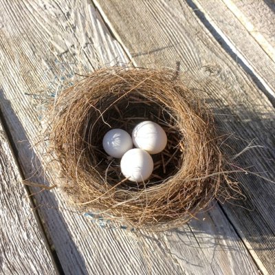nest