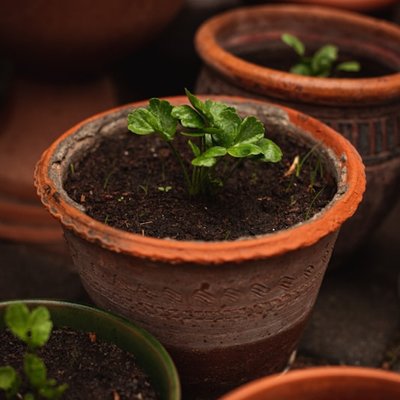 flowerpot