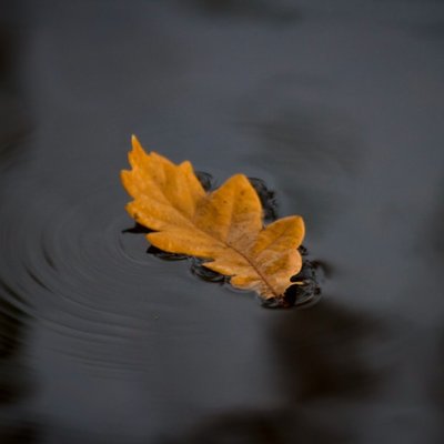 floating