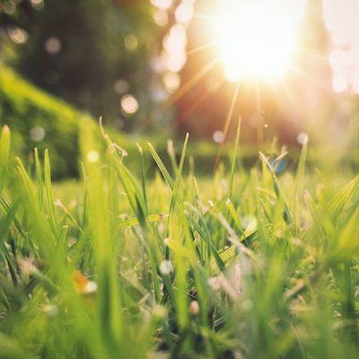 spring