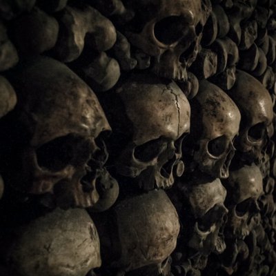 skull
