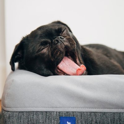 to yawn