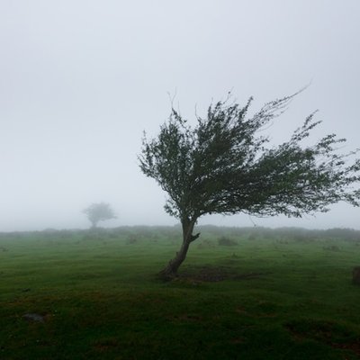 wind