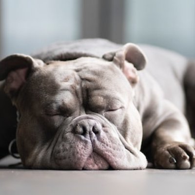 to snore