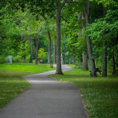 wooded