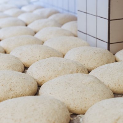 yeast