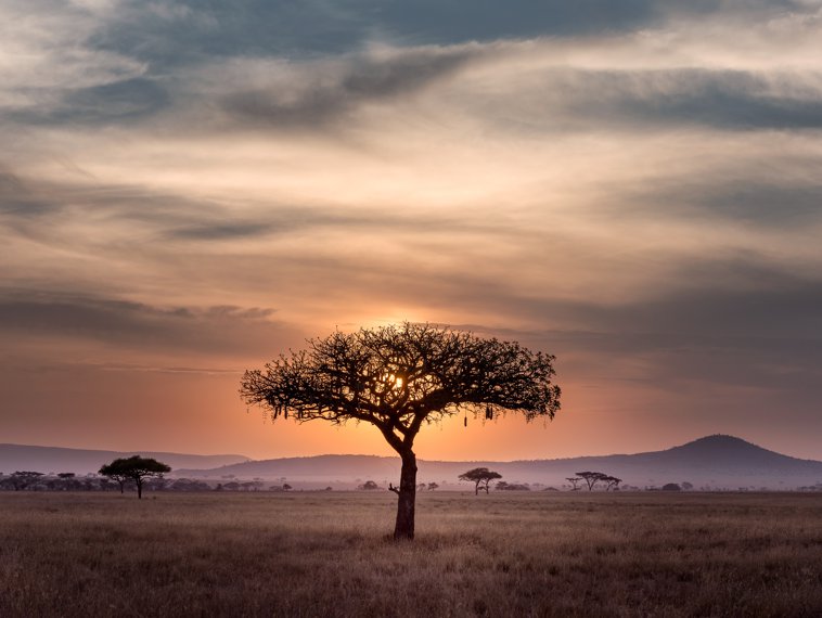 Africa landscape