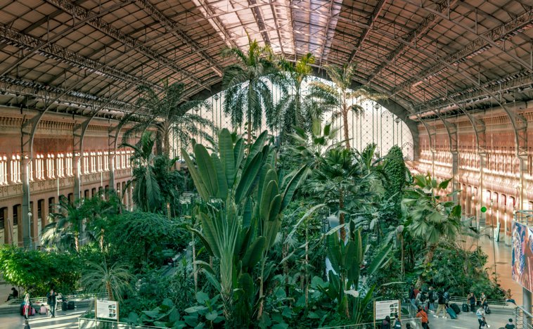 Atocha tropical garden