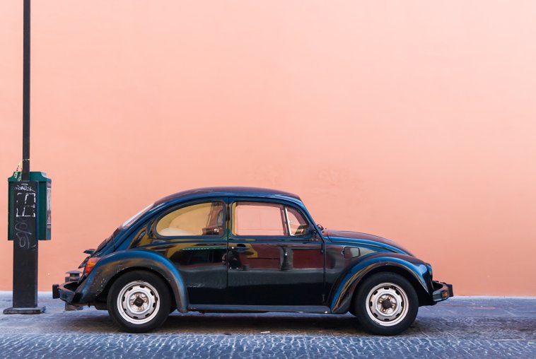 Beetle in front of a salmon-colored wall