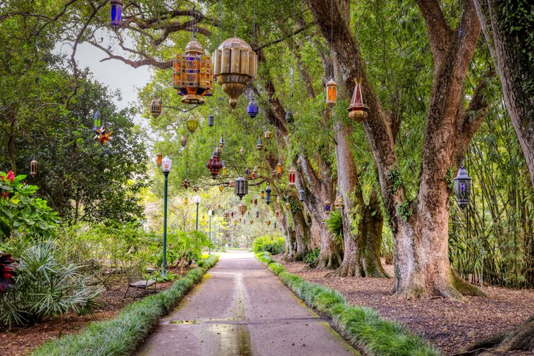 Harry P. Leu Gardens