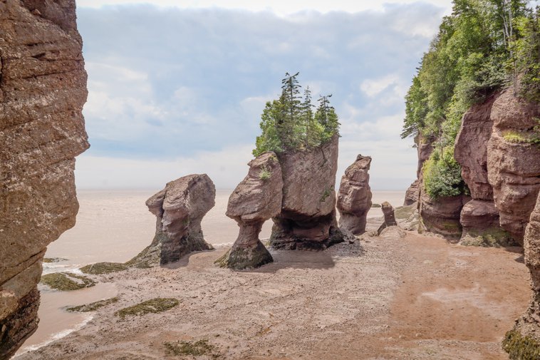 Hopewell Rocks
